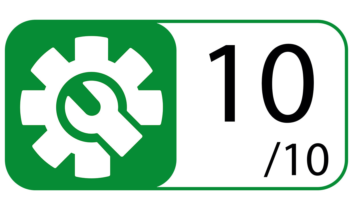 EOLO Lava Tappeti LP41 Professionale Made in Italy Garanzia 5 Anni Efficienza A++