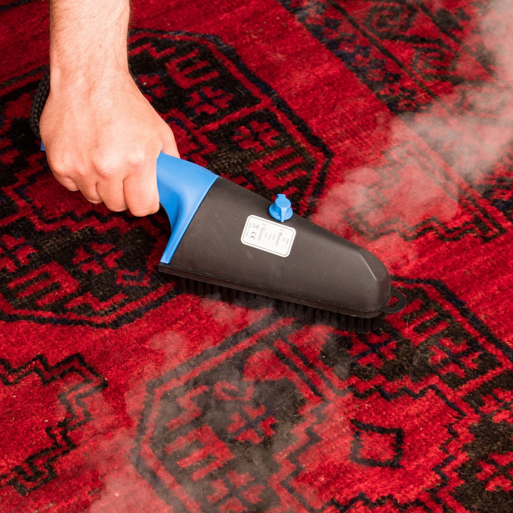 Spazzola a vapore professionale con temperatura vapore regolabile "STEAMY PLUS" SB02 LM Made in Italy Garanzia 5 anni